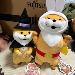 可愛い嘘のカワウソ④