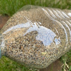 アクアリウム　水槽　金魚　メダカ　底砂の画像