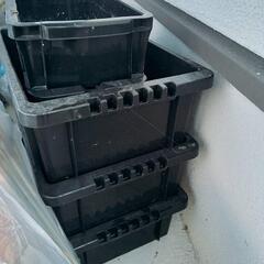 めだか　メダカ　プラスティックケース　※条件ありの画像
