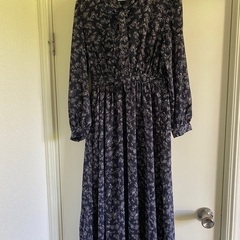 女性のドレス (宅配便で発送できます)