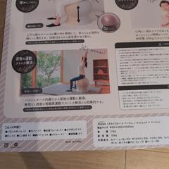 35chair　サンゴチェア　バランスボールチェアの画像