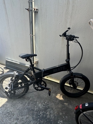 MATE fusion(使用三ヶ月)