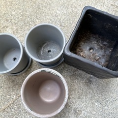 小さい植木鉢セット　無料の画像