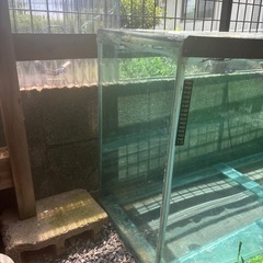 120センチ水槽の画像
