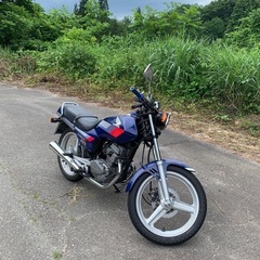 期間限定値下げ　cb125t ミニバブ