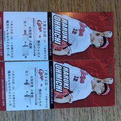 ７月３０日　広島カープ vs DeNAベイスターズ　S定席　60...