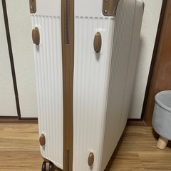 キャリーケース新品
