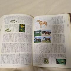 講談社カラー日本語大辞典の画像