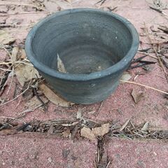 小さい黒い植木鉢