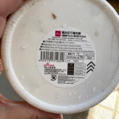 アガベ　植物の画像