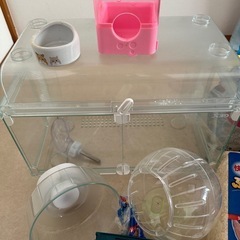 お取引中 ハムスター　飼育セット　ケージ、砂などの画像