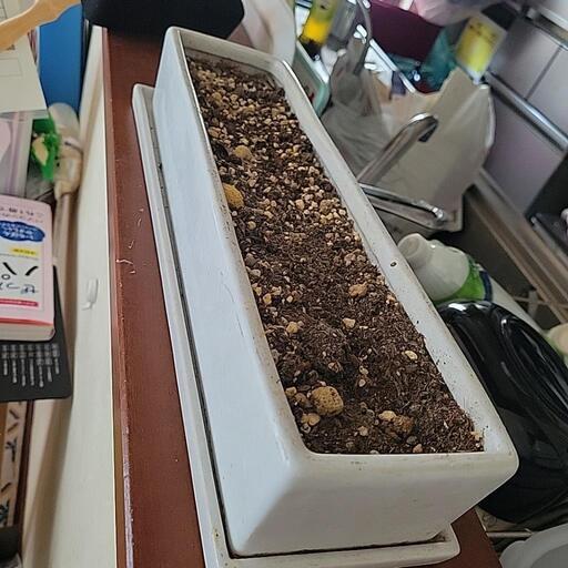 長細い　タンブラー