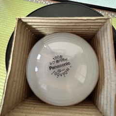 レフ電球100型100V
の画像