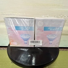 屋内外兼用白熱ビーム球の画像