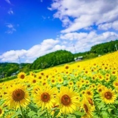 お絵描き心理テスト