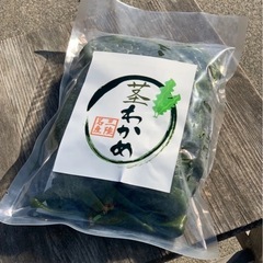 2024年 新物！三陸産茎わかめ　5キロ‼️