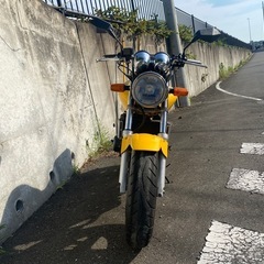 【燃料計付き中期モデル】 HONDA HORNET250（ホーネット250）の画像