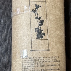 新品　Salyu サリュ  アサガオのタペストリーの画像