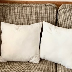 ★無料★ミニクッションヌード2つ