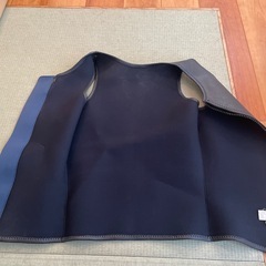 ボディグローブ　　ノースリーブ　タッパー　フロントジップの画像