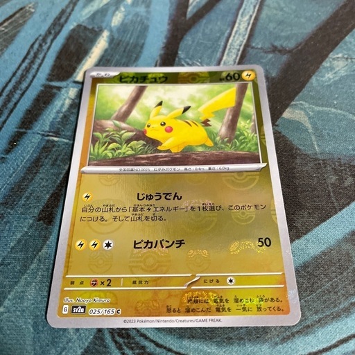 ピカチュウ（C）マスターボールミラー