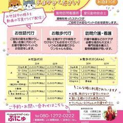 川西市★犬.猫お世話代行 《ペットシッター》