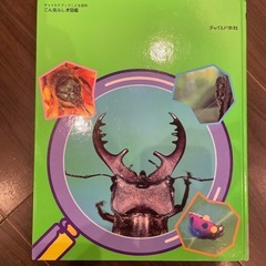 こん虫ふしぎ図鑑　全88ページの画像