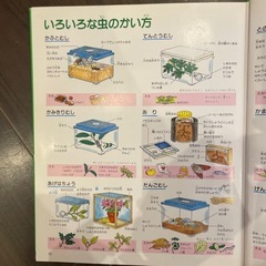 こん虫ふしぎ図鑑　全88ページの画像