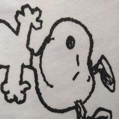 中古　スヌーピー　Ｍ　総柄Ｔシャツ　ユニバーサルスタジオジャパンUSJの画像