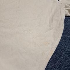 TOMMY HILFIGER Tシャツの画像
