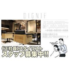 DIGNIF スタイリスト募集中!
