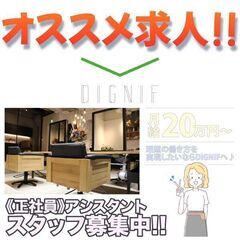 DIGNIF アシスタント募集中!