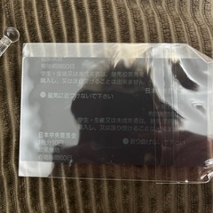 サイレンススズカ単勝馬券の画像