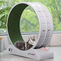 キャットランニングホイール ☆美品☆最終値下げ！-5月末まで-