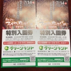 グリーンランド　入園券　2枚⭐︎