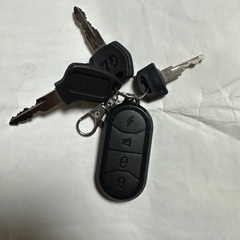 原動機付自転車 14インチ (中古車) セール中の画像