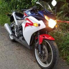 ホンダ　CBR250R MC41 CBR 実働車　さいたま市桜区...