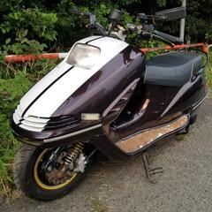 ホンダ　フリーウェイ MF03  フリーウェイ250 動画有 さ...