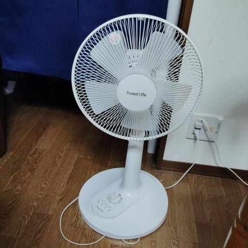 決まりました　扇風機