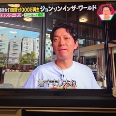 テレビ　65Vサイズ