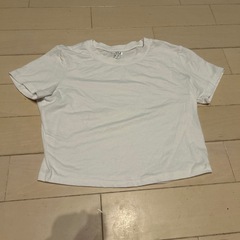 レディース　半袖　まとめ売りの画像