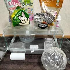 グラスハーモニー&飼育セットの画像