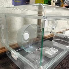 グラスハーモニー&飼育セットの画像