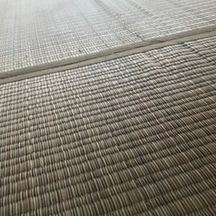 六畳用ゴザマットの画像