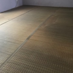 六畳用ゴザマットの画像