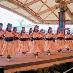 Hālau Hula `Āinalulu（ハーラウ フラ アイナルル）横須賀市安浦町１-11の画像