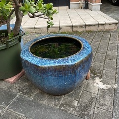 園芸用陶器(メダカ飼育用)の画像