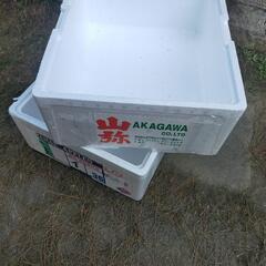 発泡スチロール容器差し上げます‼️名古屋改良メダカ直売所！〜NMB〜