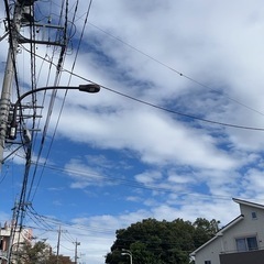今日中央線-青梅線内で暇つぶし