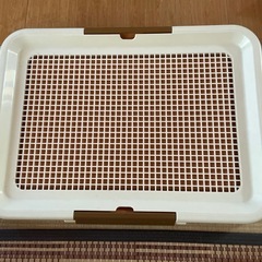 犬用トイレ